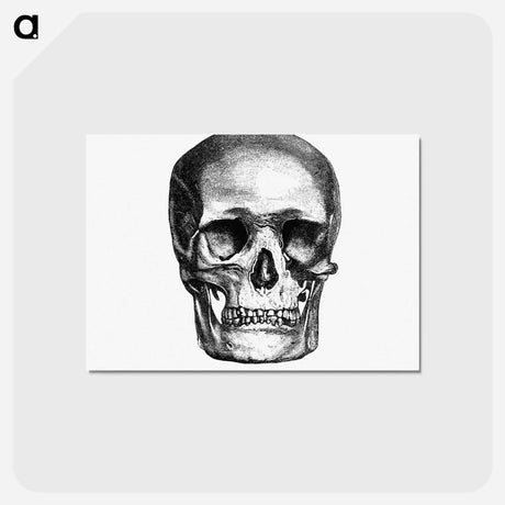 アートポストカード-Skull Engraving, Annals of Winchcombe and Sudeley
 - 大英図書館 Postcard.