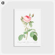 アートポストカード-Double Moss Rose - ピエール ジョゼフ ルドゥーテ Postcard.