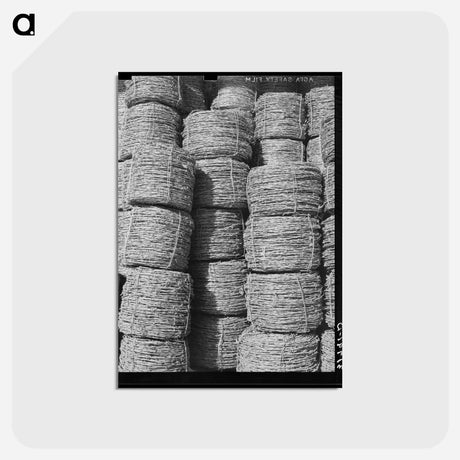 アートポストカード-Barbed Wire Piles
 - ラッセル リー Postcard.