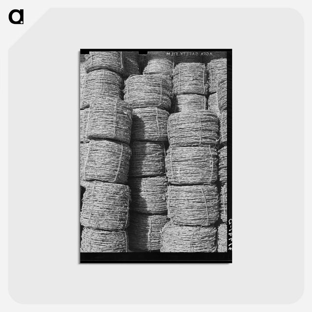 アートポストカード-Barbed Wire Piles
 - ラッセル リー Postcard.