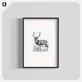 アートポスター-Red Deer
 - 大英図書館 Poster.