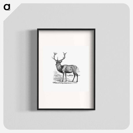 アートポスター-Red Deer
 - 大英図書館 Poster.