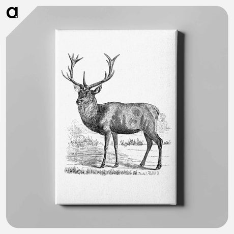 アートパネル-Red Deer
 - 大英図書館 Canvas.
