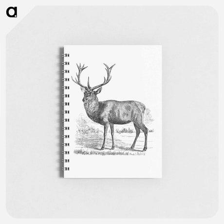 アートメモ帳-Red Deer
 - 大英図書館 Memo.