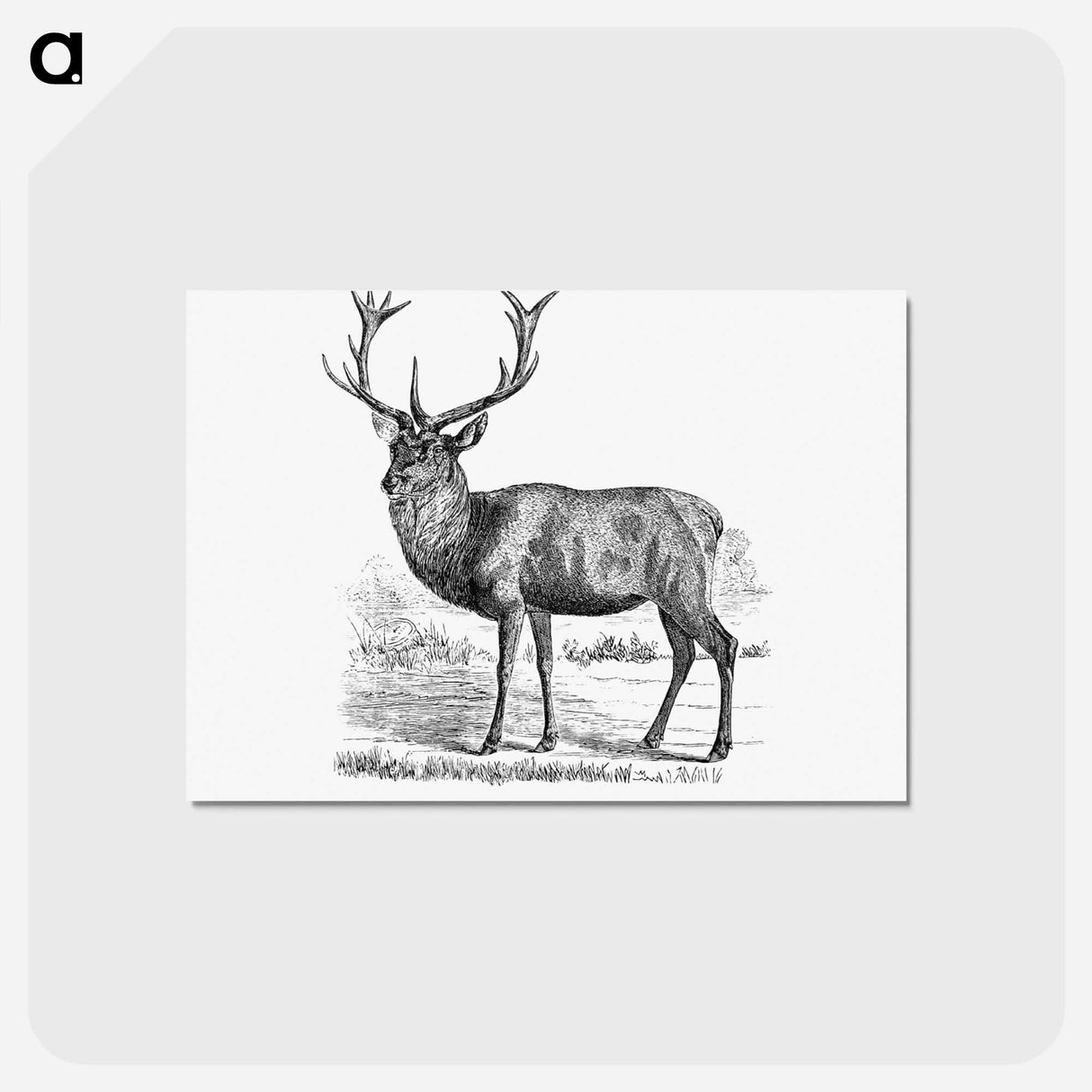 アートポストカード-Red Deer
 - 大英図書館 Postcard.
