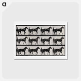 アートポストカード-Chariot in Motion
 - エドワード マイブリッジ Postcard.