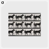 アートポストカード-Chariot in Motion
 - エドワード マイブリッジ Postcard.