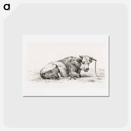 アートポストカード-Lying cow - ジャン ベルナール Postcard.