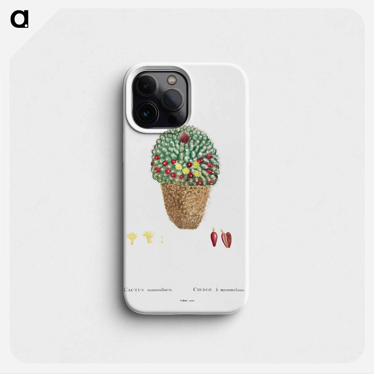 Cactus Mammillaria - ピエール ジョゼフ ルドゥーテ Phone Case.