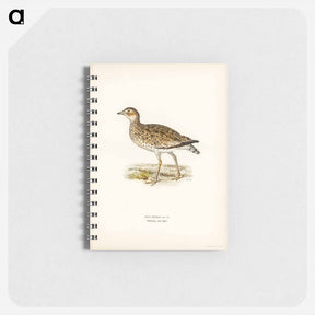 アートメモ帳-Little Bustard
 - スヴェンスカ フォグラル Memo.