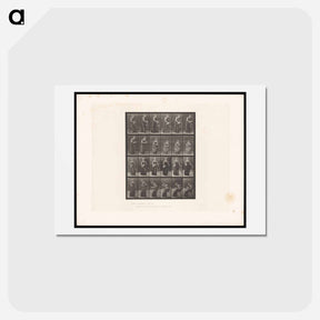アートポストカード-Reading Woman
 - エドワード マイブリッジ Postcard.