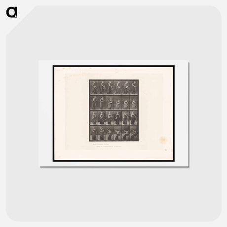 アートポストカード-Reading Woman
 - エドワード マイブリッジ Postcard.