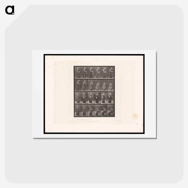 アートポストカード-Reading Woman
 - エドワード マイブリッジ Postcard.
