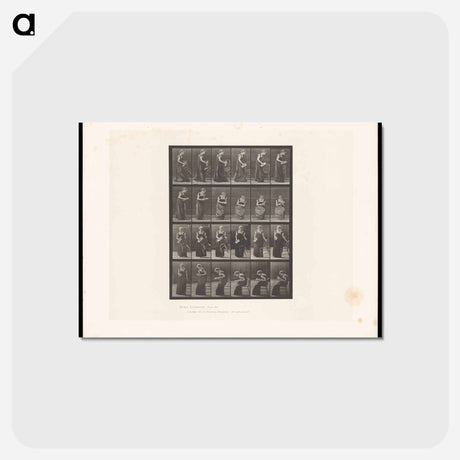 アートポストカード-Reading Woman
 - エドワード マイブリッジ Postcard.