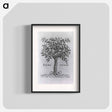 アートポスター-Printer's Mark with Holly Tree
 - 国立医学図書館 Poster.
