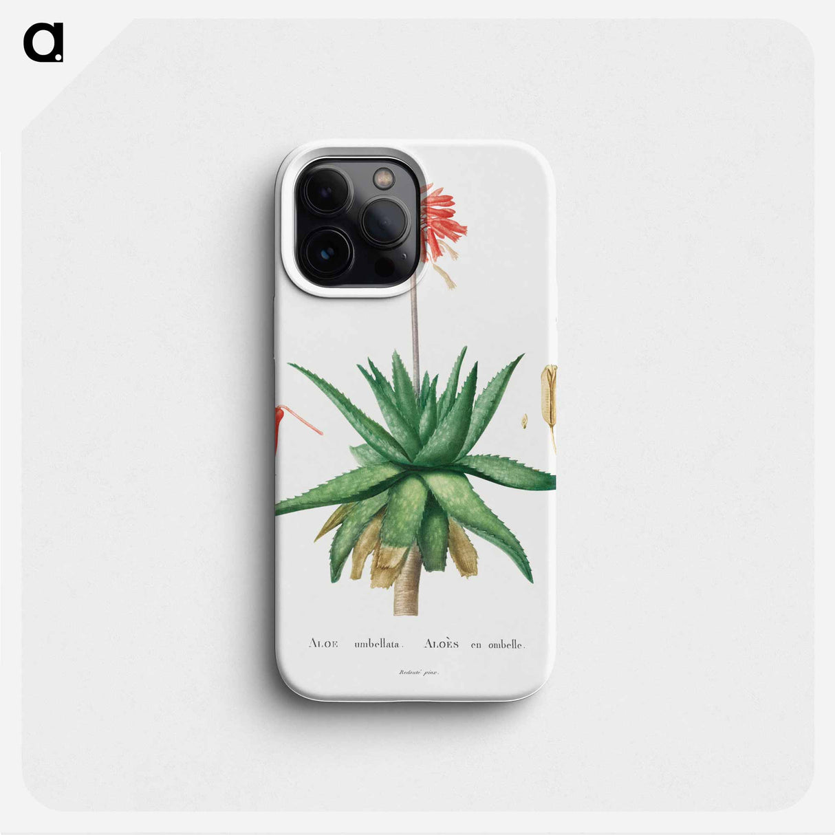Aloe Umbellata - ピエール ジョゼフ ルドゥーテ Phone Case.