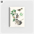アートメモ帳-American Redstart from Birds of America
 - アメリカの鳥たち Memo.