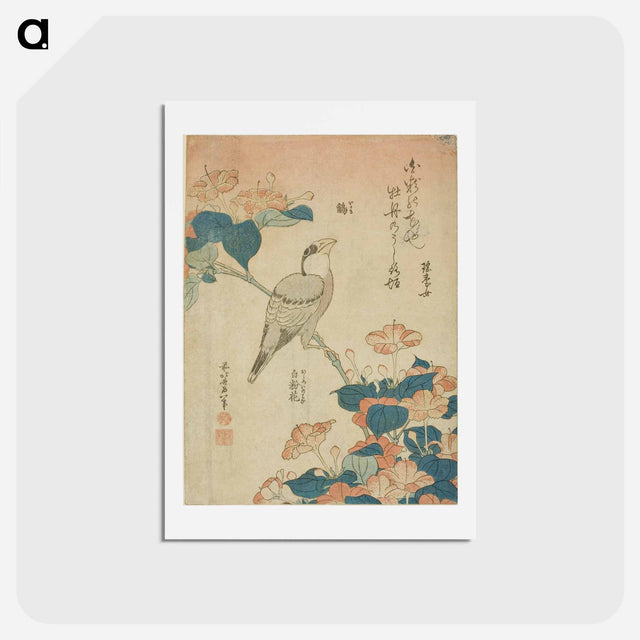 アートポストカード-Hokusai's Grosbeak and mirabilis - 葛飾 北斎 Postcard.