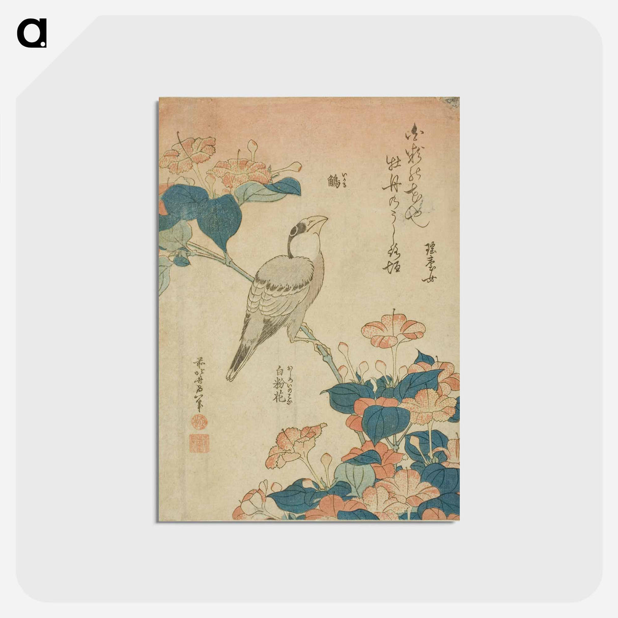 アートポストカード-Hokusai's Grosbeak and mirabilis - 葛飾 北斎 Postcard.