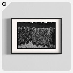 アートポスター-Chili Peppers Drying
 - ラッセル リー Poster.