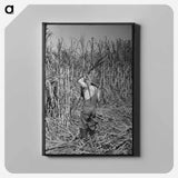 アートパネル-Chili Peppers Drying
 - ラッセル リー Canvas.