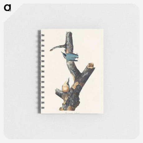 アートメモ帳-Red-breasted Nuthatch from Birds of America
 - アメリカの鳥たち Memo.