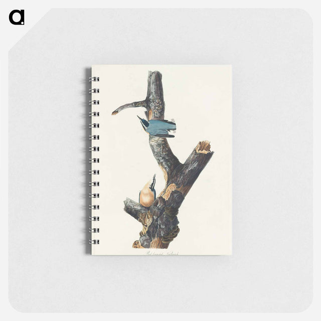 アートメモ帳-Red-breasted Nuthatch from Birds of America
 - アメリカの鳥たち Memo.