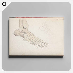 アートパネル-(unknown)part of a sketchbook - アルバート エーデルフェルト Canvas.