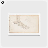 アートポストカード-(unknown)part of a sketchbook - アルバート エーデルフェルト Postcard.