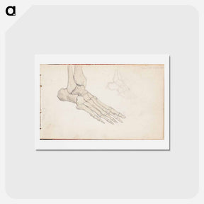 アートポストカード-(unknown)part of a sketchbook - アルバート エーデルフェルト Postcard.