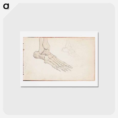 アートポストカード-(unknown)part of a sketchbook - アルバート エーデルフェルト Postcard.