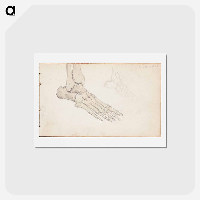 アートポストカード-(unknown)part of a sketchbook - アルバート エーデルフェルト Postcard.