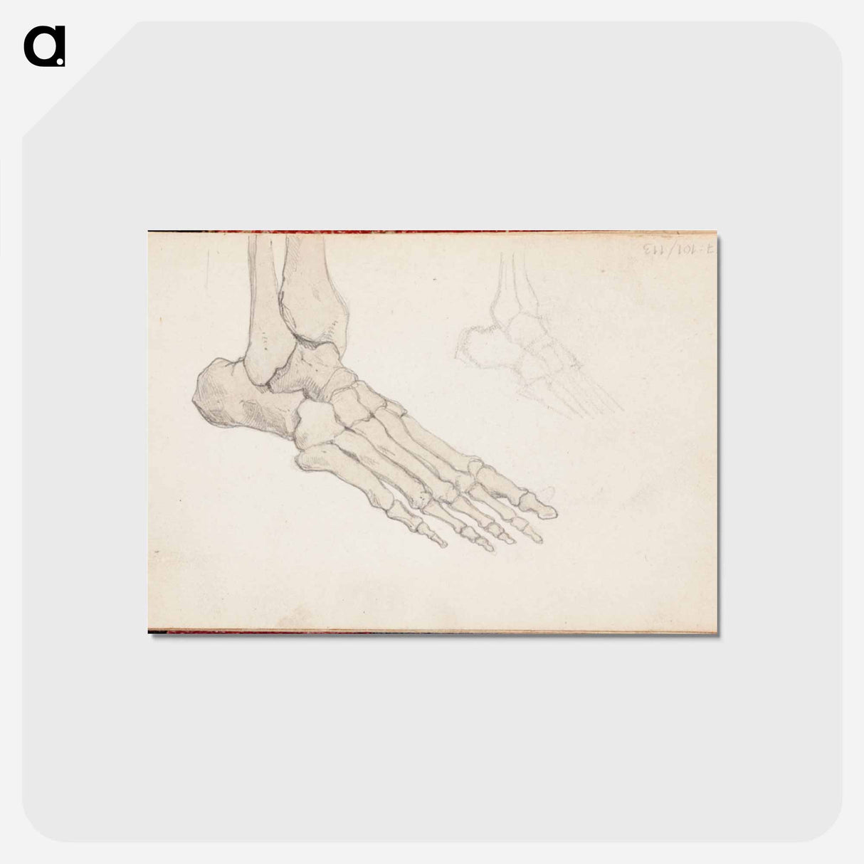 アートポストカード-(unknown)part of a sketchbook - アルバート エーデルフェルト Postcard.
