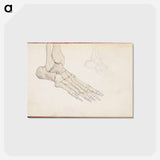 アートポストカード-(unknown)part of a sketchbook - アルバート エーデルフェルト Postcard.