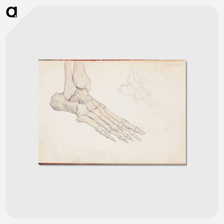 アートポストカード-(unknown)part of a sketchbook - アルバート エーデルフェルト Postcard.