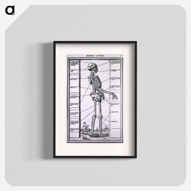 アートポスター-Anatomy of a Skeleton
 - 国立医学図書館 Poster.
