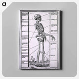 アートパネル-Anatomy of a Skeleton
 - 国立医学図書館 Canvas.