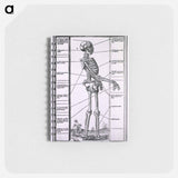 アートメモ帳-Anatomy of a Skeleton
 - 国立医学図書館 Memo.