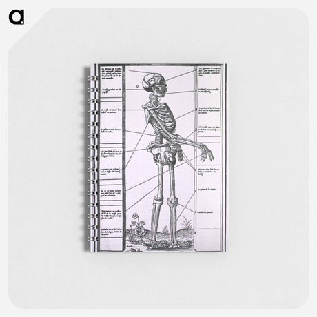 アートメモ帳-Anatomy of a Skeleton
 - 国立医学図書館 Memo.