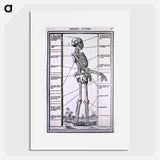 アートポスター-Anatomy of a Skeleton
 - 国立医学図書館 Poster.
