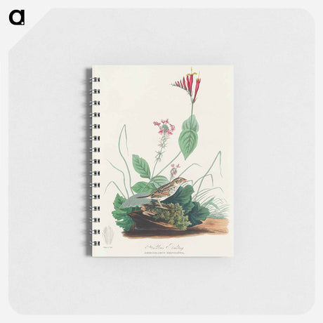 アートメモ帳-Henslow's Bunting from Birds of America
 - アメリカの鳥たち Memo.