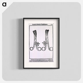 アートポスター-Eyelash Tweezers for Radical Extirpation of the Eyelashes
 - 国立医学図書館 Poster.