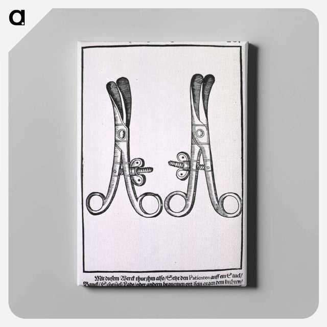 アートパネル-Eyelash Tweezers for Radical Extirpation of the Eyelashes
 - 国立医学図書館 Canvas.