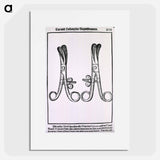アートポスター-Eyelash Tweezers for Radical Extirpation of the Eyelashes
 - 国立医学図書館 Poster.
