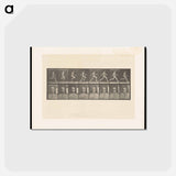 アートポストカード-Sprinting Man
 - エドワード マイブリッジ Postcard.