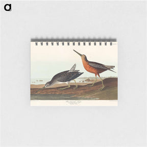 アートメモ帳-Red-breasted Snipe
 - ジョン ジェームス オーデュボン Memo.
