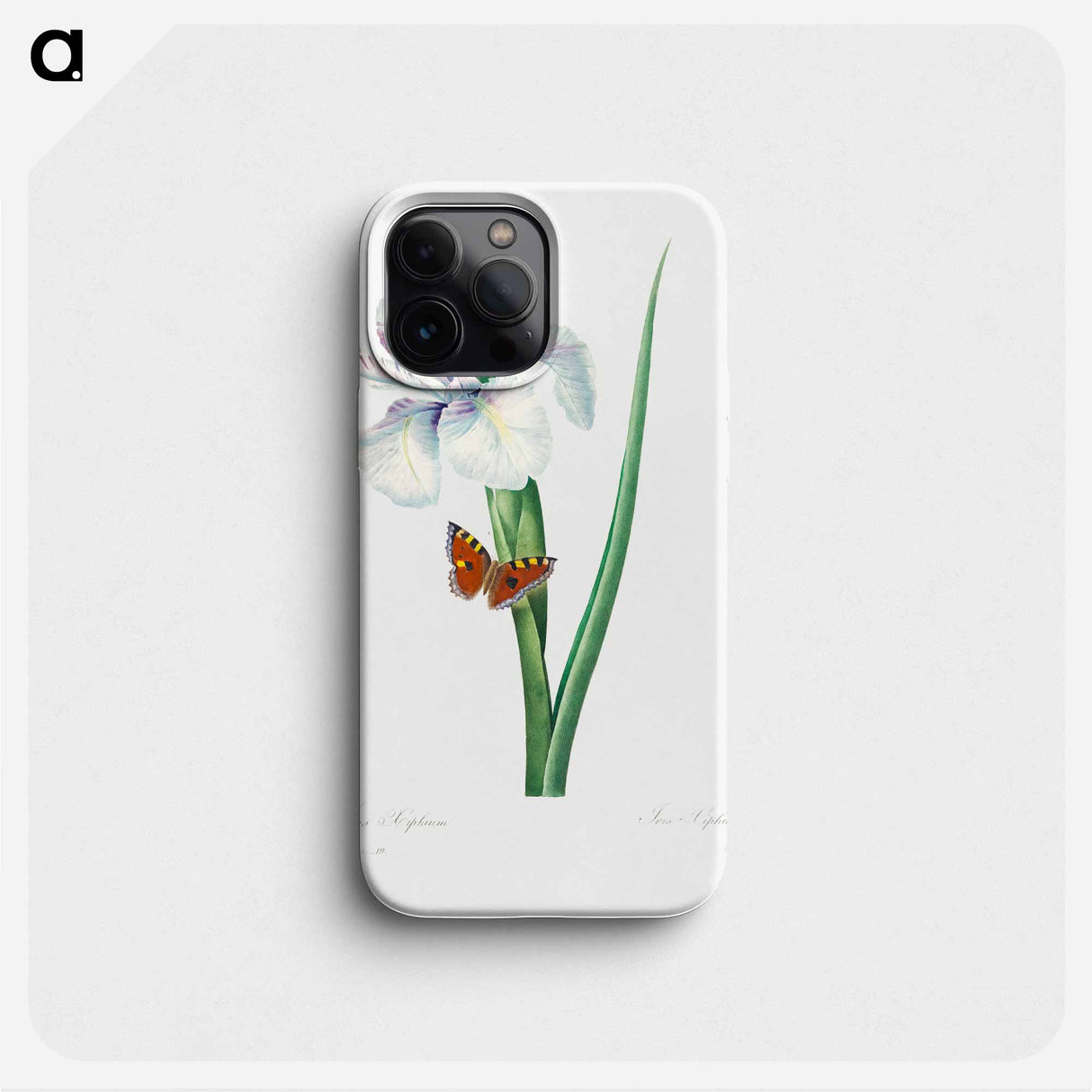 Spanish iris - ピエール ジョゼフ ルドゥーテ Phone Case.