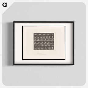 アートポスター-The Reader
 - エドワード マイブリッジ Poster.