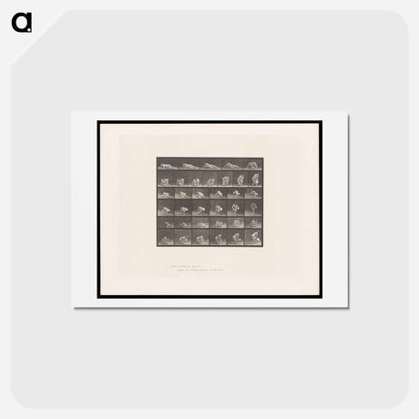アートポストカード-The Reader
 - エドワード マイブリッジ Postcard.
