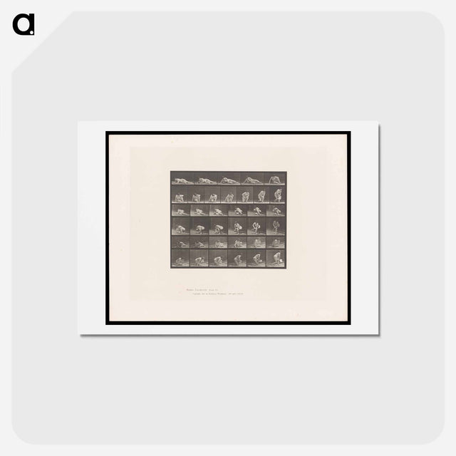 アートポストカード-The Reader
 - エドワード マイブリッジ Postcard.